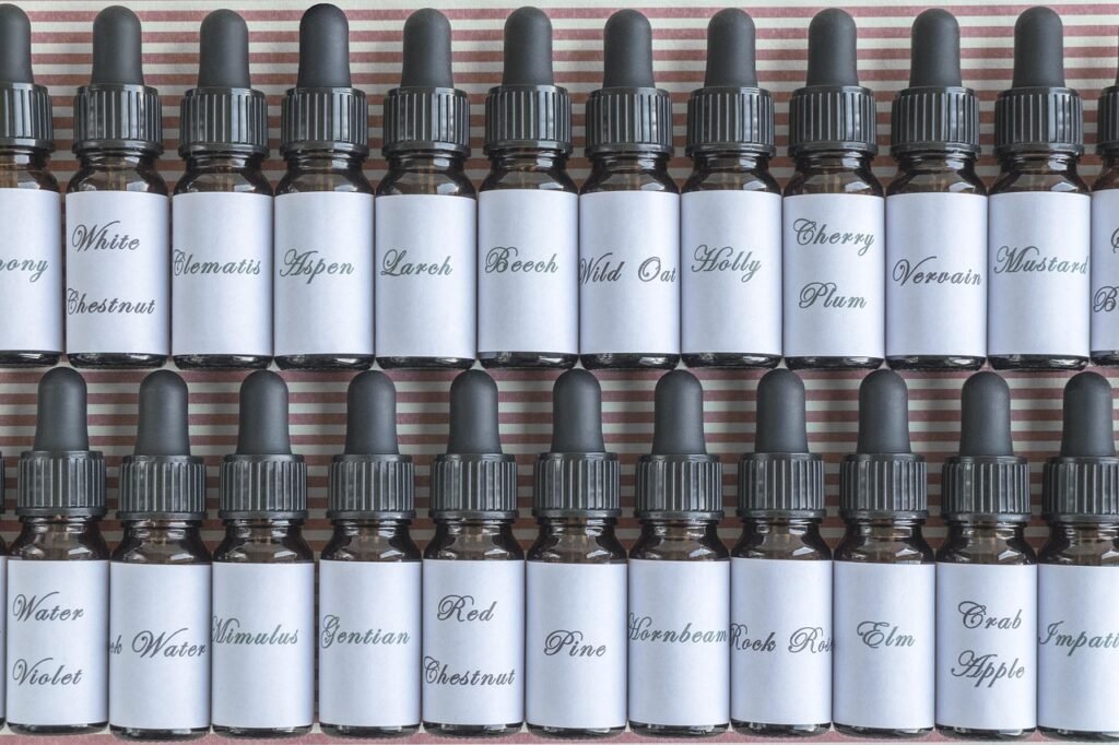 bach flowers, bach flower, bach, essence, essences, remedy, remedies, bach flower essences, bach flower remedy, bach flower remedies, bach flower essence, bottle, mixing bottle, box, set, bach flower set, energy healing, homeopathy, herbal essence, homeopathic, treatment, naturopathy, alternative medicine, therapy, gray energy, gray medicine, gray bottle, gray therapy, gray box, bach flowers, bach flowers, bach flowers, bach flowers, bach flower, energy healing, homeopathic, homeopathic, homeopathic, homeopathic, homeopathic